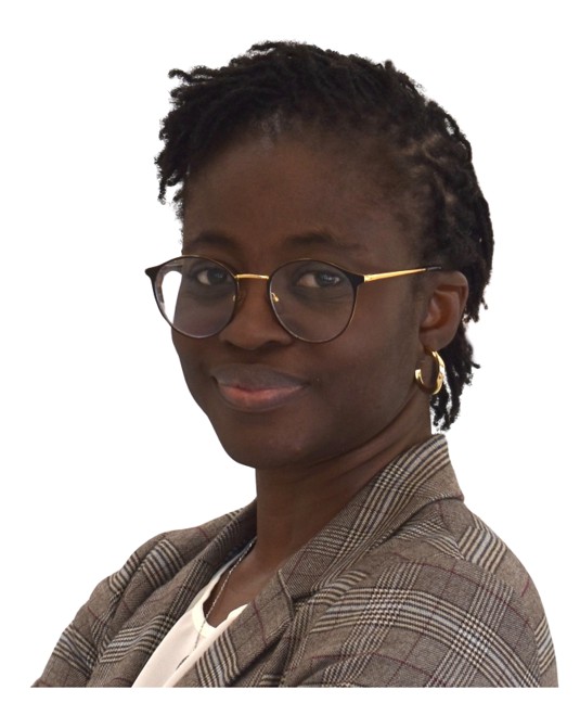 Dr. Ibukun Abejirinde Health (002)