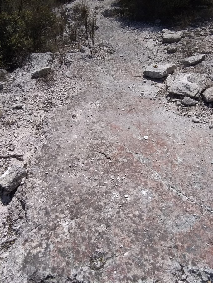 Portion of the floor of the Ngiwa temple