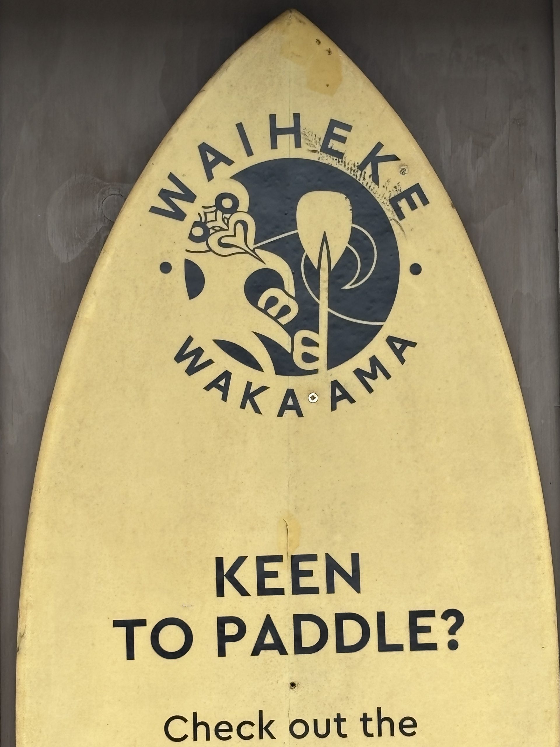Paula Paddle
