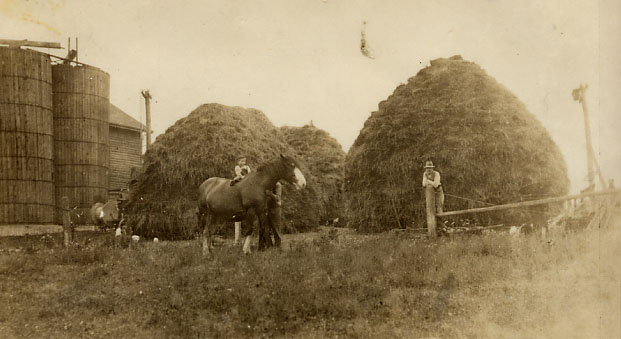 Level photo (Greeniaus farm) (003)